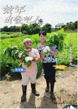 81影院综艺 王牌对王牌